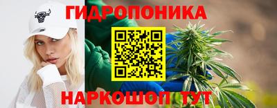 марихуана Новозыбков